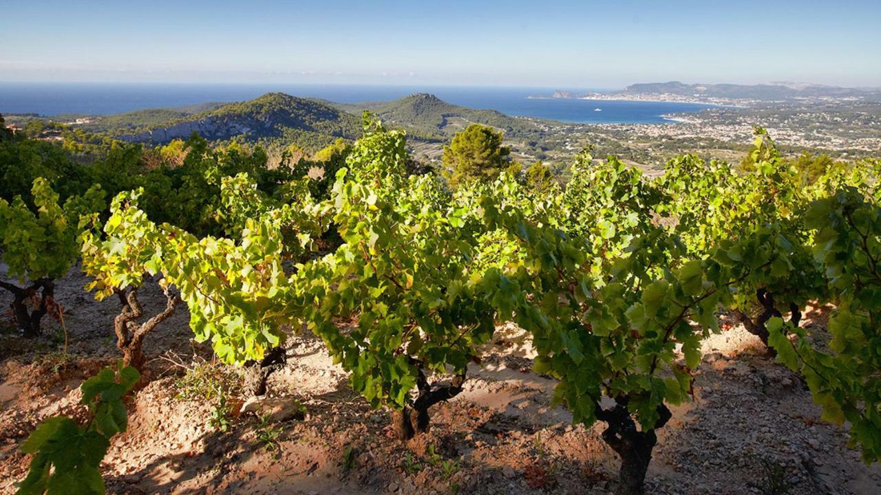 Le Belvedere Bandol Bagian luar foto